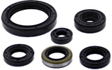 VERTEX OIL SEAL SET KAW 822379