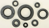 WINDEROSA OIL SEAL SET 822354