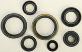 WINDEROSA OIL SEAL SET 822124