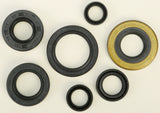 WINDEROSA OIL SEAL SET 822160