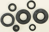 WINDEROSA OIL SEAL SET 822291