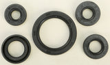 WINDEROSA OIL SEAL SET 822136