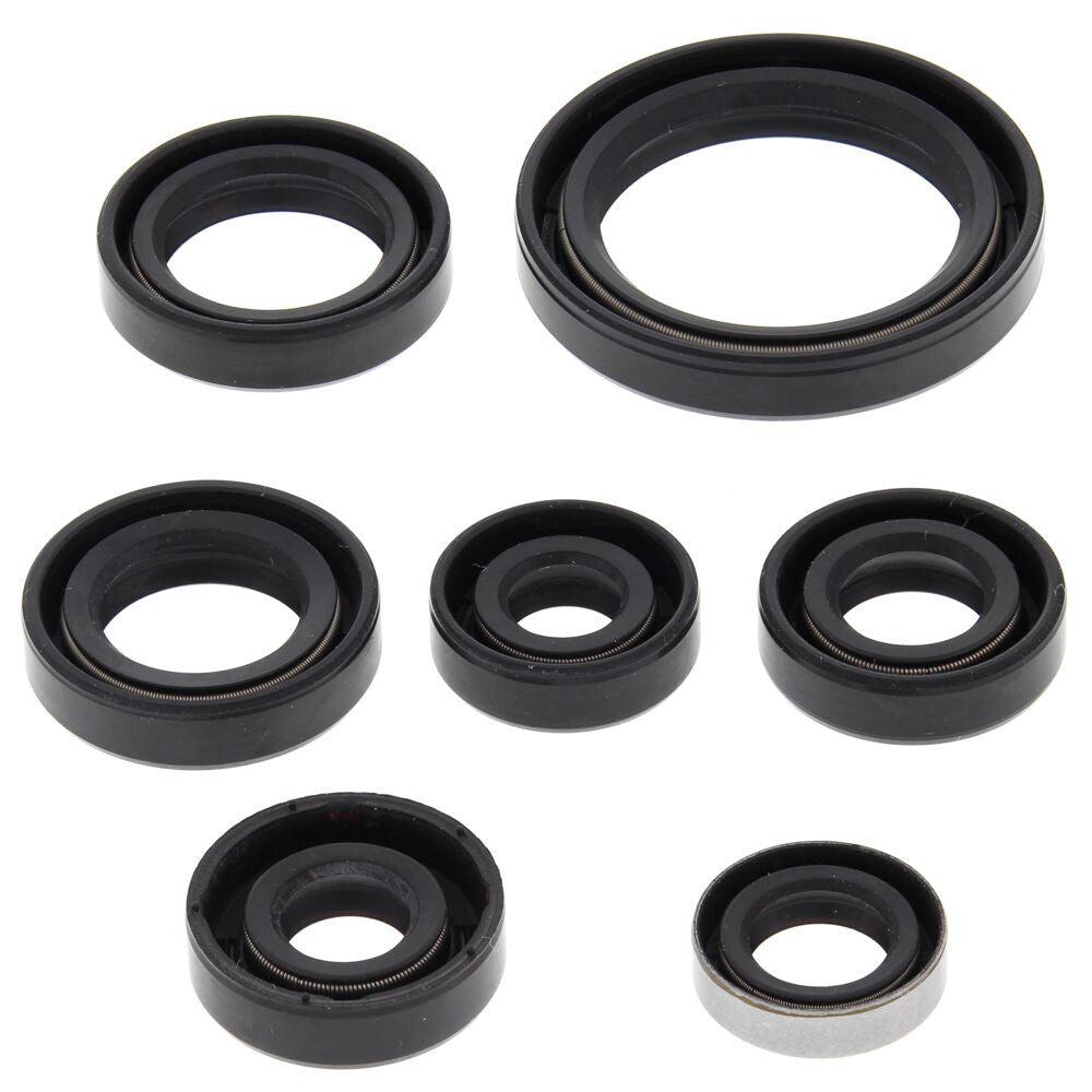 VERTEX OIL SEAL SET 822323