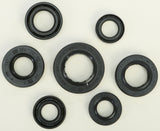 WINDEROSA OIL SEAL SET 822289