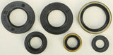 WINDEROSA OIL SEAL SET 822185