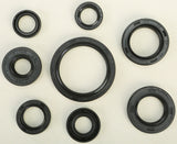 WINDEROSA OIL SEAL SET 822228