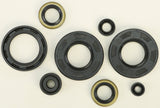 WINDEROSA OIL SEAL SET 822293