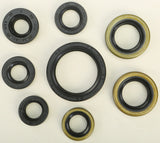 WINDEROSA OIL SEAL SET 822485