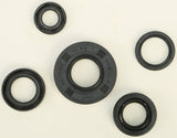 WINDEROSA OIL SEAL SET 822222