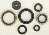 WINDEROSA OIL SEAL SET 822266