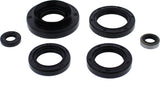 WINDEROSA OIL SEAL SET 822366