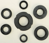 WINDEROSA OIL SEAL SET 822219