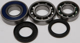 ALL BALLS CHAIN CASE BEARING & SEAL KIT 14-1060