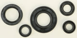 WINDEROSA OIL SEAL SET 822240