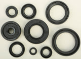 WINDEROSA OIL SEAL SET 822119