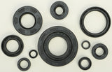 WINDEROSA OIL SEAL SET 822304