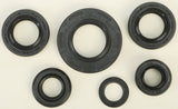 WINDEROSA OIL SEAL SET 822224