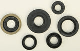 WINDEROSA OIL SEAL SET 822307