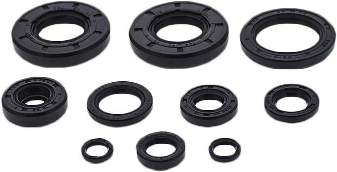 WINDEROSA OIL SEAL SET 822993