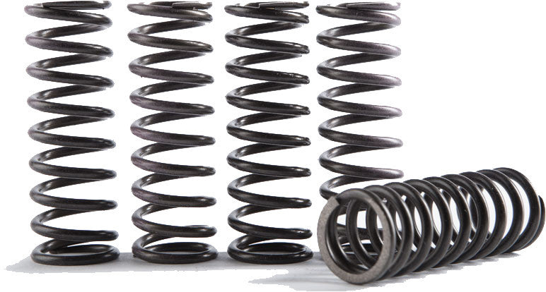 HINSON HIGH TEMP SPRINGS 5 SPRINGS CS216-5-0315