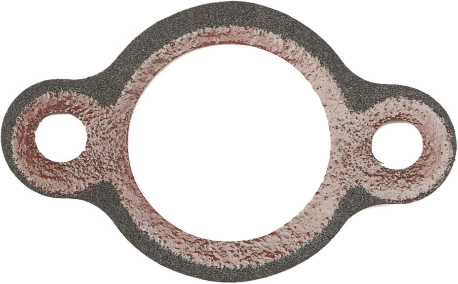 JAMES GASKETS CHAIN TENSIONER FOAM W/BEAD 2PK 58117-14-VIC