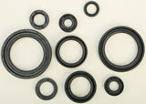 WINDEROSA OIL SEAL SET 822357