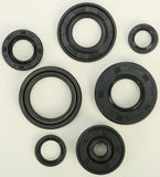 WINDEROSA OIL SEAL SET 822112