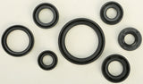 WINDEROSA OIL SEAL SET 822193