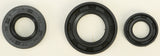 WINDEROSA OIL SEAL SET 822180