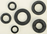 WINDEROSA OIL SEAL SET 822220