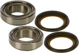 ALL BALLS STEERING BEARING/SEAL KIT 22-1002