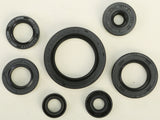 WINDEROSA OIL SEAL SET 822690