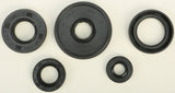 WINDEROSA OIL SEAL SET 822196