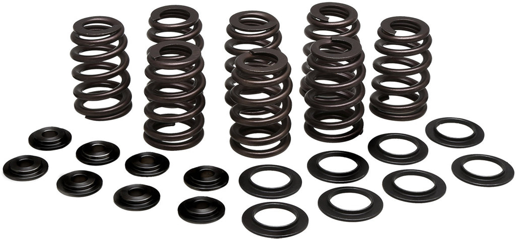 KPMI VALVE SPRING KIT BEEHIVE M8 STEEL 20-21050