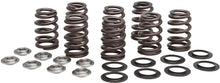 Load image into Gallery viewer, KPMI VALVE SPRING KIT BEEHIVE M8 TITANIUM 20-21000