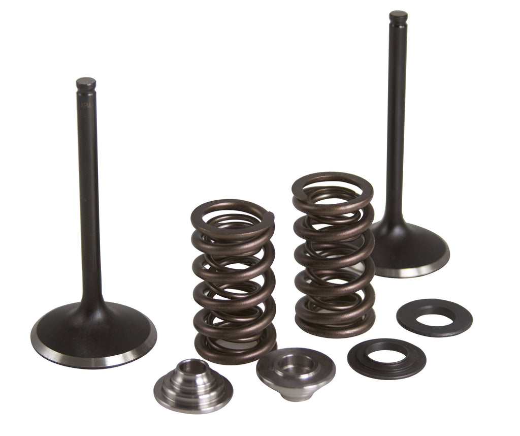 KPMI INTAKE VALVE/SPRING KIT STAINLESS STEEL YAM 80-82350