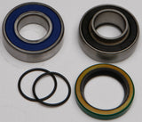 ALL BALLS CHAIN CASE BEARING & SEAL KIT 14-1024