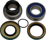 ALL BALLS CHAIN CASE BEARING & SEAL KIT 14-1055