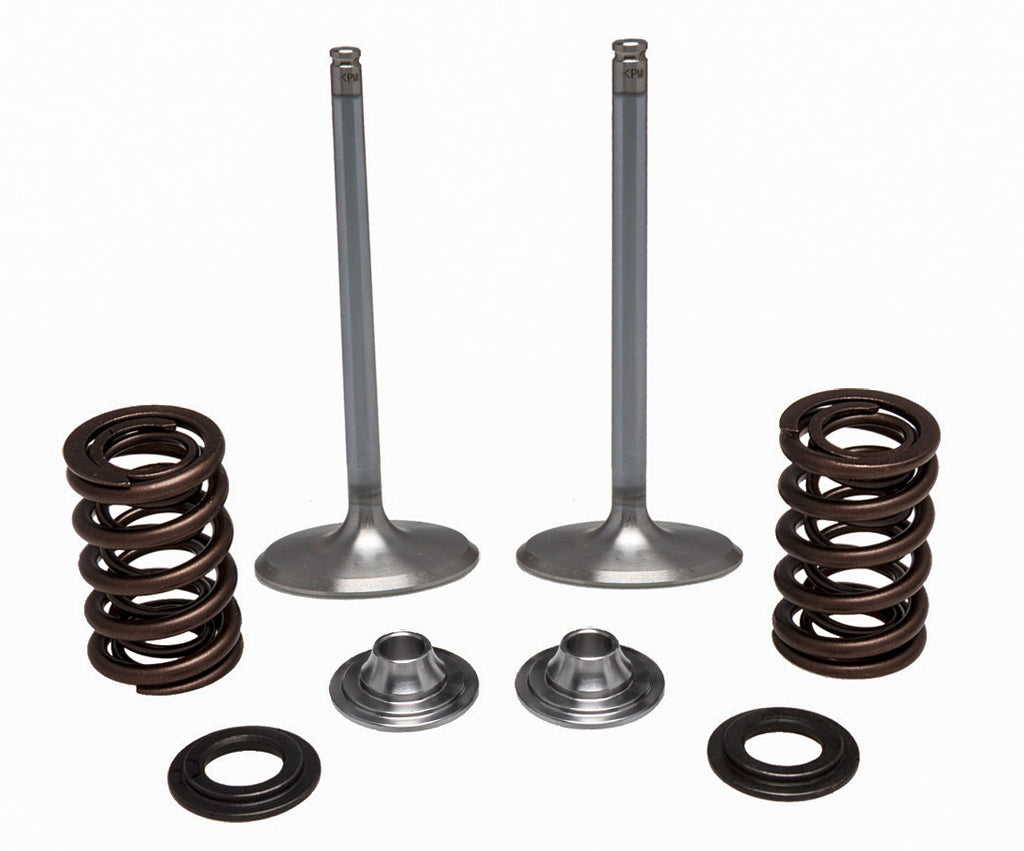 KPMI SS INTAKE VALVE/SPRING KIT 40-41450