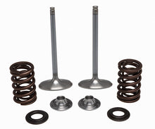 Load image into Gallery viewer, KPMI SS INTAKE VALVE/SPRING KIT 40-41450