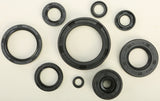 WINDEROSA OIL SEAL SET 822117