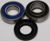 ALL BALLS CHAIN CASE BEARING & SEAL KIT 14-1019