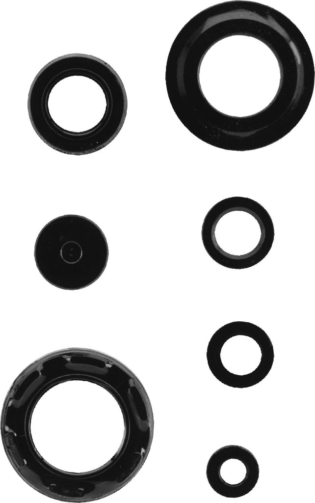 K&S ENGINE SEAL KIT 50-4044