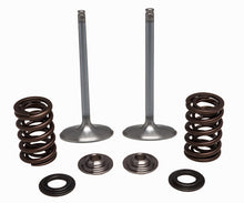 Load image into Gallery viewer, KPMI SS INTAKE VALVE/SPRING KIT 30-32780