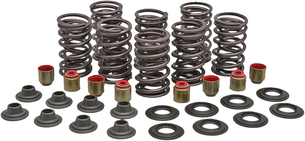 KPMI RACING VALVE SPRING KIT 82-82850