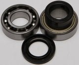 ALL BALLS CHAIN CASE BEARING & SEAL KIT 14-1031