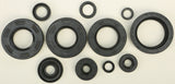 WINDEROSA OIL SEAL SET 822252