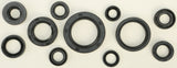 WINDEROSA OIL SEAL SET 822271