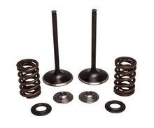 Load image into Gallery viewer, KPMI INTAKE VALVE/SPRING KIT STAINLESS STEEL 30-33200