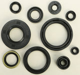 WINDEROSA OIL SEAL SET 822101